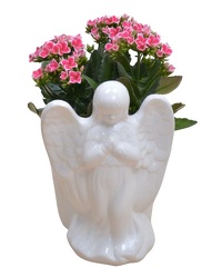 Angel Blooming from Beecher Florist in Beecher, IL
