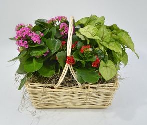 Just a Little Garden from Beecher Florists, flower delivery in Beecher