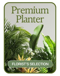 Designer's Choice Premium Planter from Beecher Florist, flower delivery in Beecher