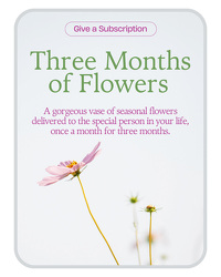 Bouquet of the Month Club (3) from Beecher Florist, flower delivery in Beecher