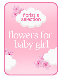 Designer's Choice Baby Girl from Beecher Florist, flower delivery in Beecher