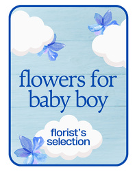 Designer's Choice Baby Boy from Beecher Florist, flower delivery in Beecher