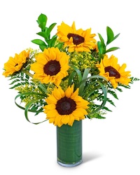 Ray Of Golden Sunflowers from Beecher Florists, flower delivery in Beecher