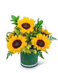 Sunshine Sunflowers from Beecher Florists, flower delivery in Beecher