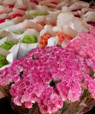 Elegant Carnations