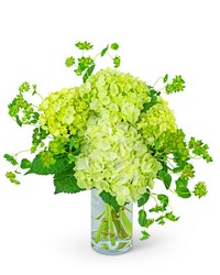 Green Glow from Beecher Florists, flower delivery in Beecher