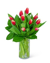 Tulips (Color May Vary) from Beecher Florist in Beecher, IL