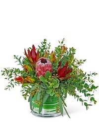 Protea Wilderness from Beecher Florists, flower delivery in Beecher