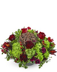 Merlot Twist from Beecher Florist, flower delivery in Beecher