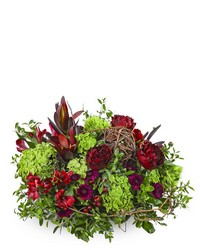 Modern Merlot from Beecher Florist, flower delivery in Beecher