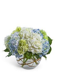 Modern Hydrangea from Beecher Florist, flower delivery in Beecher