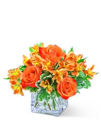 Fresh Tangerine from Beecher Florists, flower delivery in Beecher