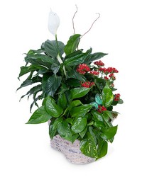 Verdant Basket from Beecher Florists, flower delivery in Beecher