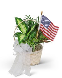 Patriotic Planter from Beecher Florist in Beecher, IL