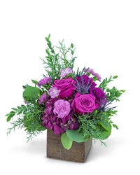 Violet Woods from Beecher Florists, flower delivery in Beecher