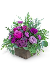 Violet's Song from Beecher Florists, flower delivery in Beecher