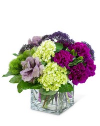 Purple Reign from Beecher Florists, flower delivery in Beecher