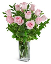 One Dozen Light Pink Roses from Beecher Florists, flower delivery in Beecher