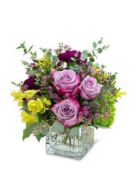 Perfect Plum from Beecher Florists, flower delivery in Beecher