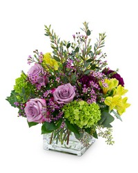 Plum Paradise from Beecher Florists, flower delivery in Beecher