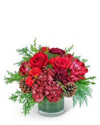 Ruby Red Velvet from Beecher Florists, flower delivery in Beecher