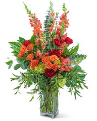 Aspen Magic from Beecher Florists, flower delivery in Beecher