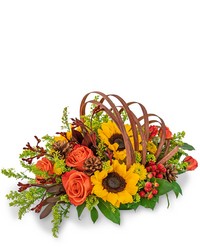 Creative Cornucopia from Beecher Florists, flower delivery in Beecher