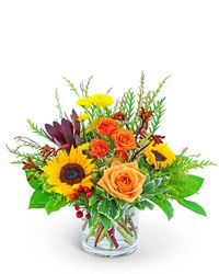 Tuscan Sun from Beecher Florists, flower delivery in Beecher