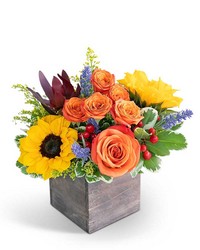 Larchmont Canyon from Beecher Florists, flower delivery in Beecher