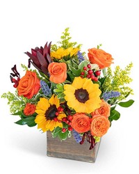 Rosewood Canyon  from Beecher Florist, flower delivery in Beecher