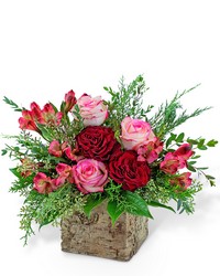 Radiant Rouge from Beecher Florists, flower delivery in Beecher