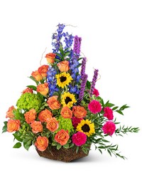 Treasured Memories Basket from Beecher Florists, flower delivery in Beecher