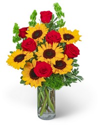Sunny Love from Beecher Florists, flower delivery in Beecher