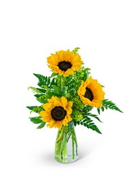 Three Suns of Joy from Beecher Florists, flower delivery in Beecher