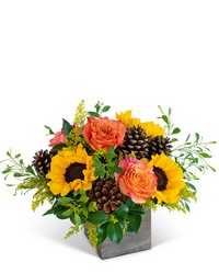 Harvest Sunburst Harmony from Beecher Florist, flower delivery in Beecher