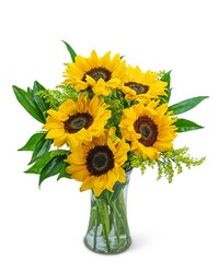 Sprinkle of Sunflowers from Beecher Florist in Beecher, IL