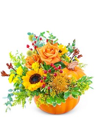 Pumpkin in Radiance from Beecher Florists, flower delivery in Beecher