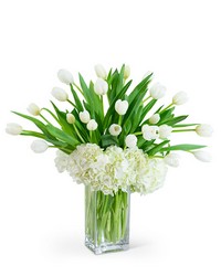 White Elegance from Beecher Florists, flower delivery in Beecher