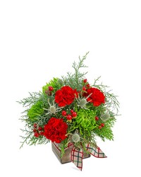 Plaid Tidings from Beecher Florist in Beecher, IL