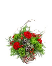 Festive Tidings from Beecher Florist in Beecher, IL