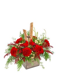 Woodland Cardinal Cheer from Beecher Florist in Beecher, IL