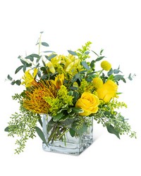 Belle De Jour from Beecher Florists, flower delivery in Beecher