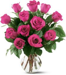 12 Hot Pink Roses from Beecher Florist in Beecher, IL