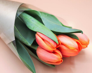 In-Store Tulip Special from Beecher Florist, flower delivery in Beecher
